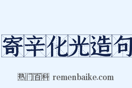 寄辛化光造句是什么意思的图片